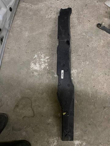 Абсорбер (наповнювач) бампера переднього 51117396923 BMW