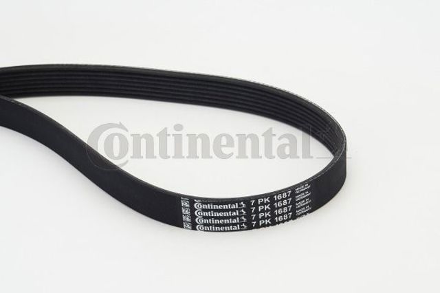 Ремінь генератора 7PK1687 CONTINENTAL