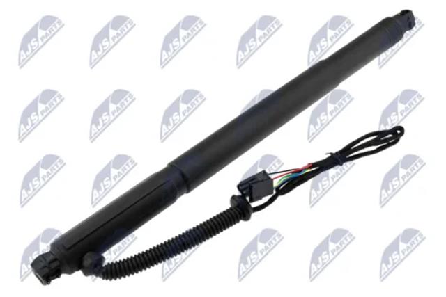 Амортизатор кришки багажника AEBM076 NTY