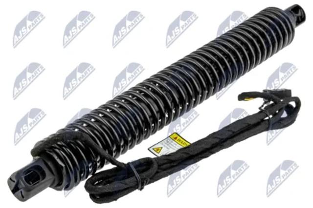 Амортизатор задньої ляди AEBM089 NTY
