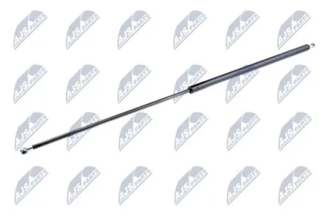 Амортизатор двері задньої AENS017 NTY