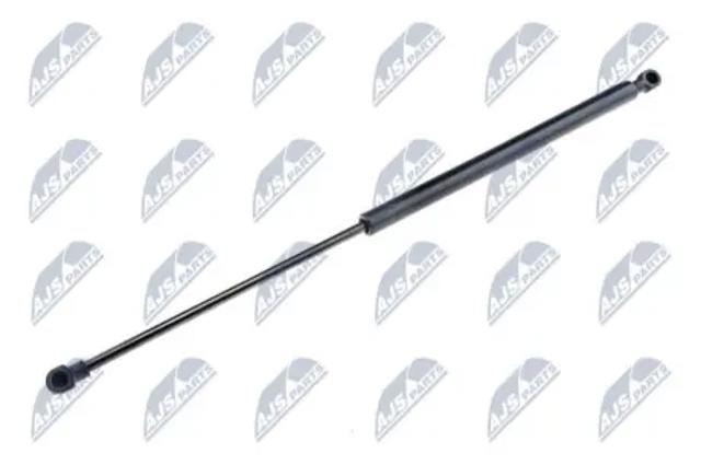 Амортизатор двері задньої AEPE016 NTY