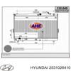 Радіатор охолодження двигуна  на Hyundai SANTA-FE off-road vehicle (SM) (01.00 - 09.06) 2.0 CRDI (04.01 - ) D4EA 2531026410