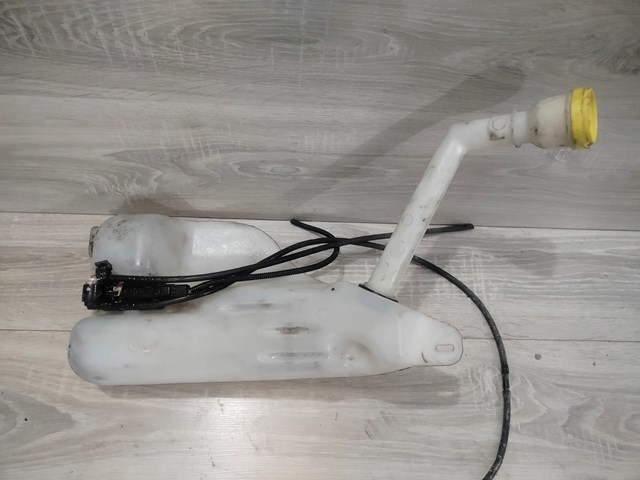 Водяний бачок омивача скла 289100014R RENAULT
