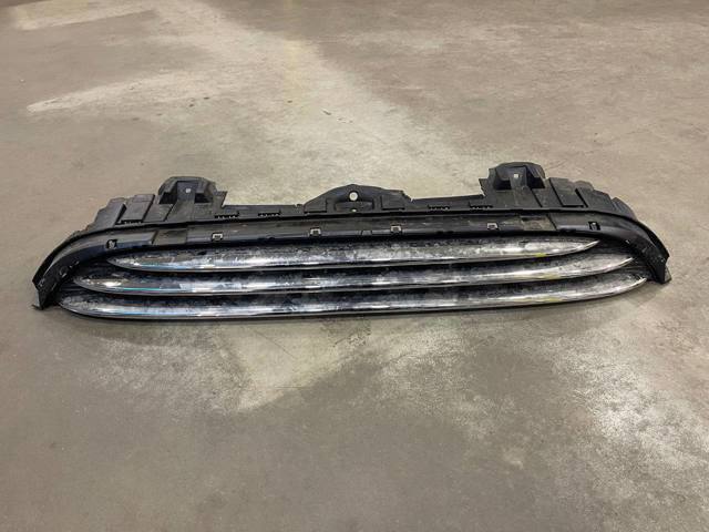 Захисна решітка радіатора 51137300586 BMW