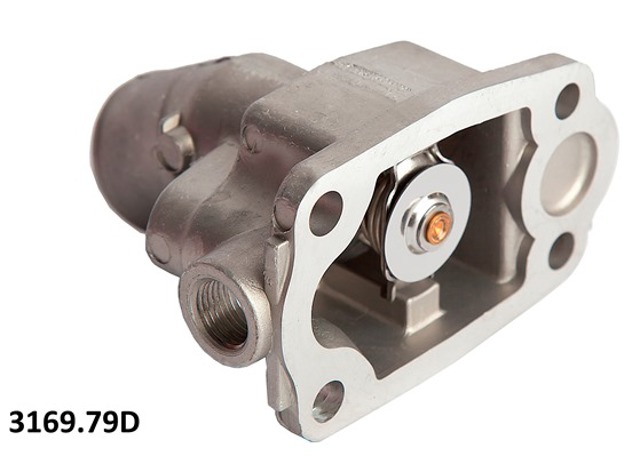 Термостат в зборі 316979D WAHLER