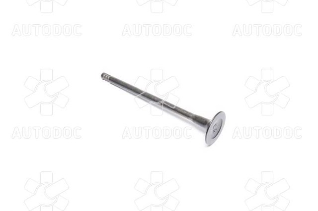132026045R Renault (RVI)
