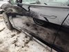 Водійські двері 1081421E0C TESLA
