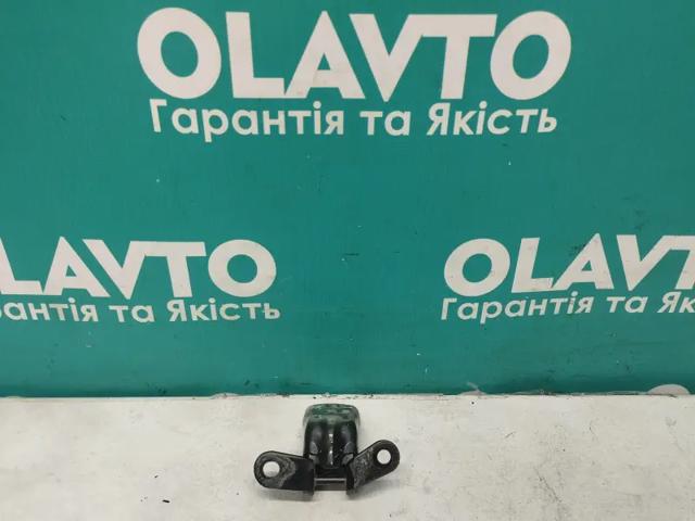 Петля задніх лівих дверей 13581570 GM