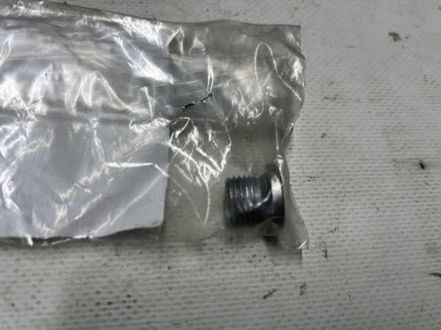 Пробка піддона двигуна Шкода Рапід