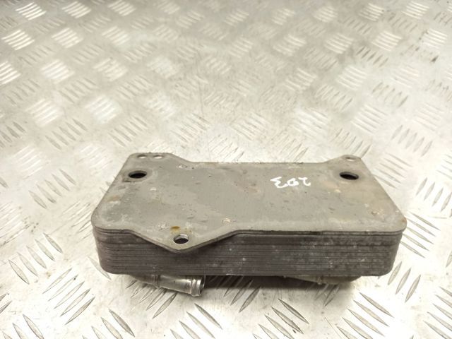 Радіатор охолодження, АКПП 0GC317019C VAG