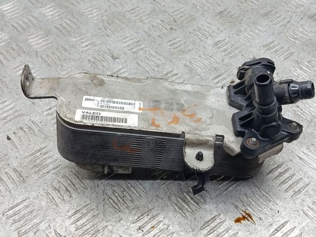 Радіатор охолодження, АКПП 17217600553 BMW
