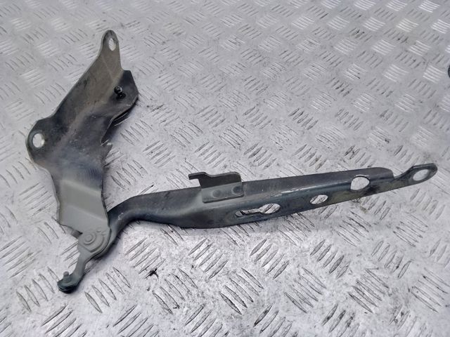 Завіс капота, лівий 30716882 VOLVO
