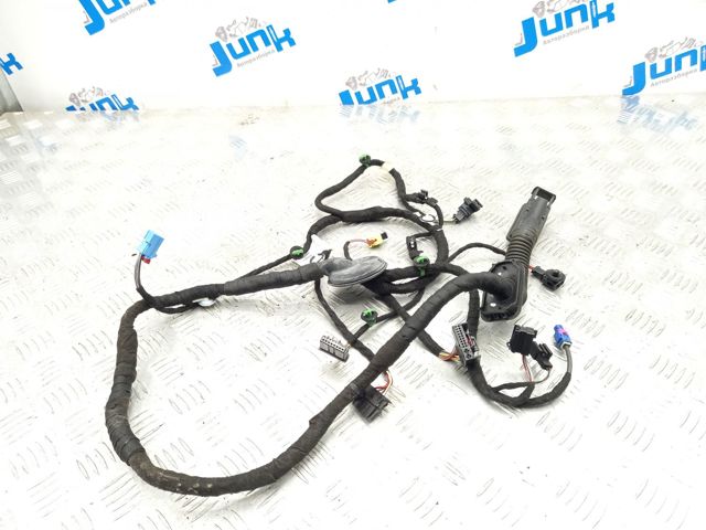 Електропроводка передніх дверей 3CN971121BJ VAG