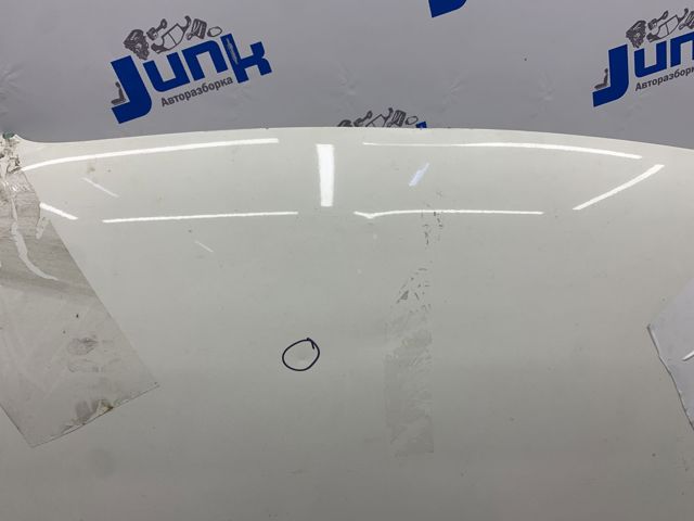 Капот 4L0823029A VAG