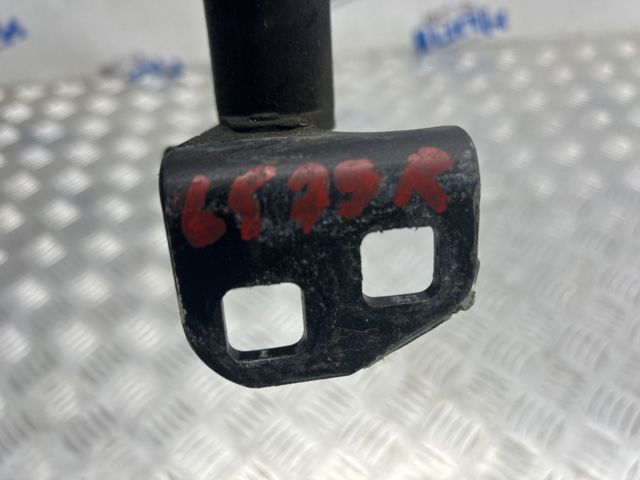 Завіса передніх дверей 600954900F TESLA