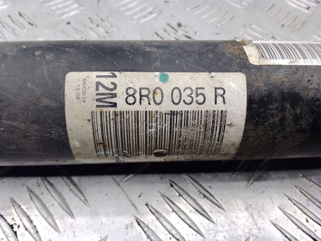 Амортизатор задньої підвіски 8R0513035R VAG