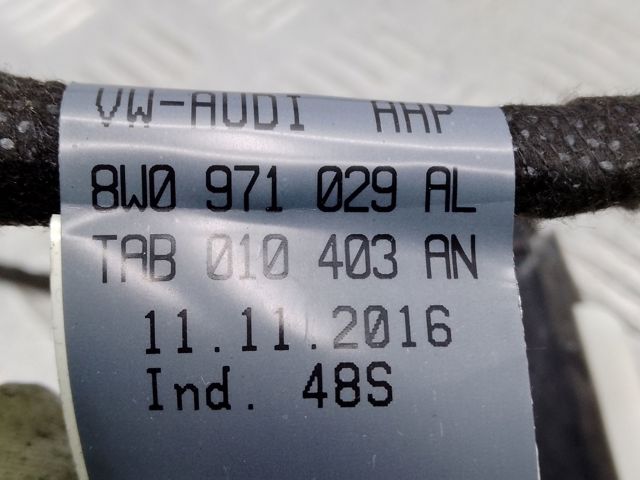 Електропроводка передніх дверей 8W0971029AL VAG