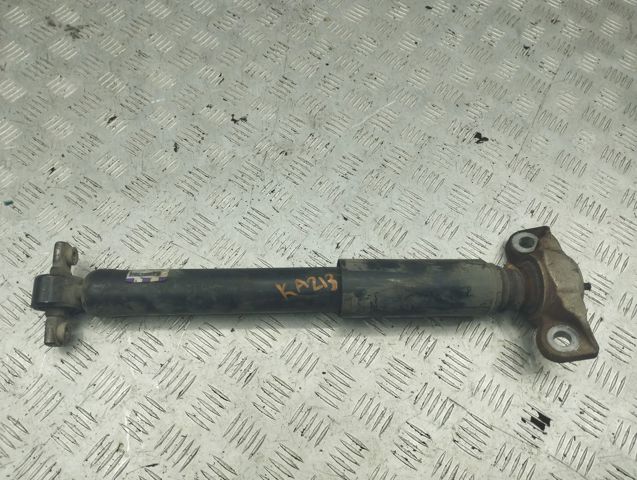 Амортизатори задні DG9Z18125T FORD