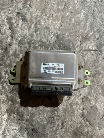 Мізки двигуна 391004A810 HYUNDAI