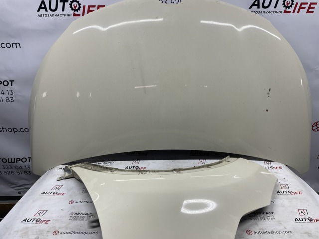 Капот 651004529R RENAULT