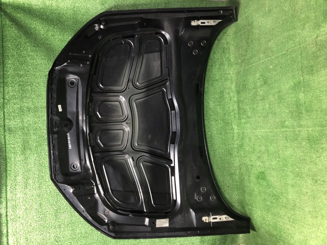 Капот 8W0823029A VAG