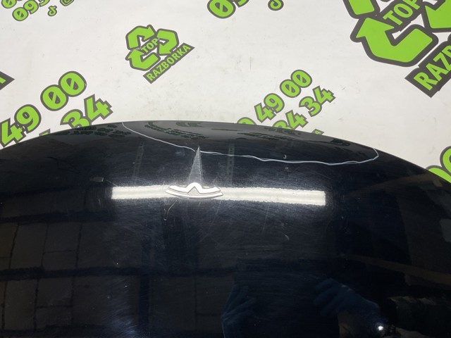 Капот 1081390E0C TESLA