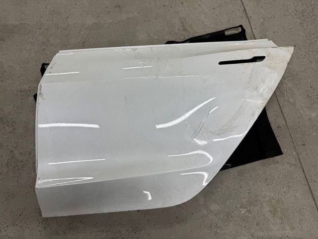 Двері пасажирськи задні ліві 1081441E0C TESLA