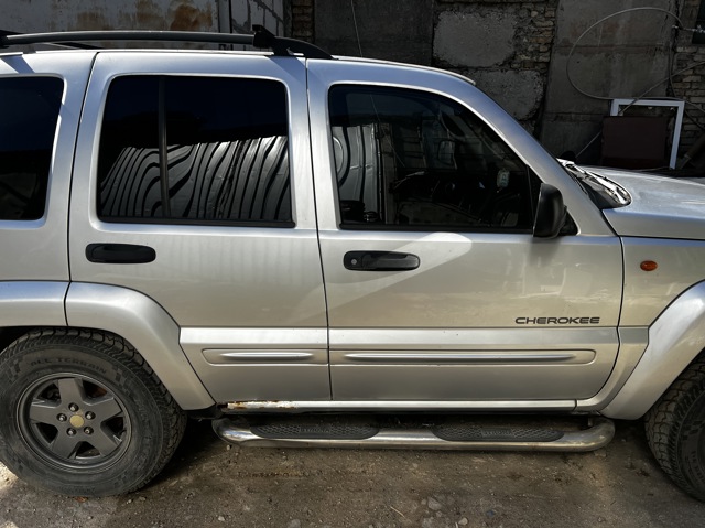Двері задні в зборі 55176906AF CHRYSLER