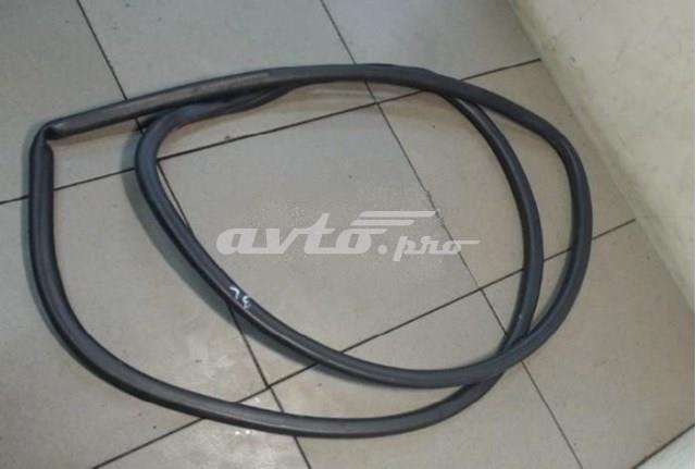 Ущільнювач дверей передніх, правих (на кузові) 6231130240C0 TOYOTA