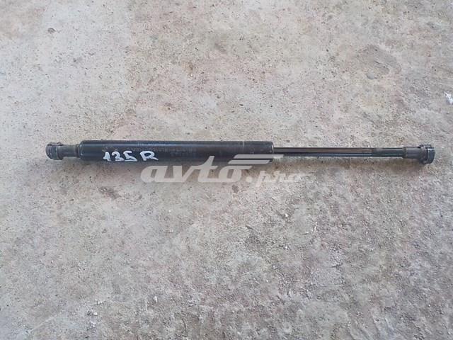 Амортизатор кришки багажника / двері 3/5-ї задньої 645300W091 TOYOTA