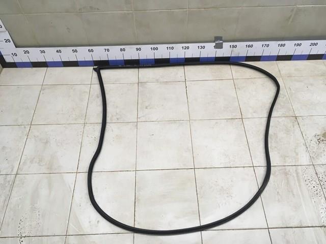 Ущільнювач дверей передніх, на (кузові) 80831EQ00A NISSAN