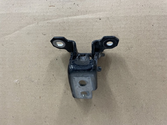 Петля передніх дверей права 804000016R RENAULT
