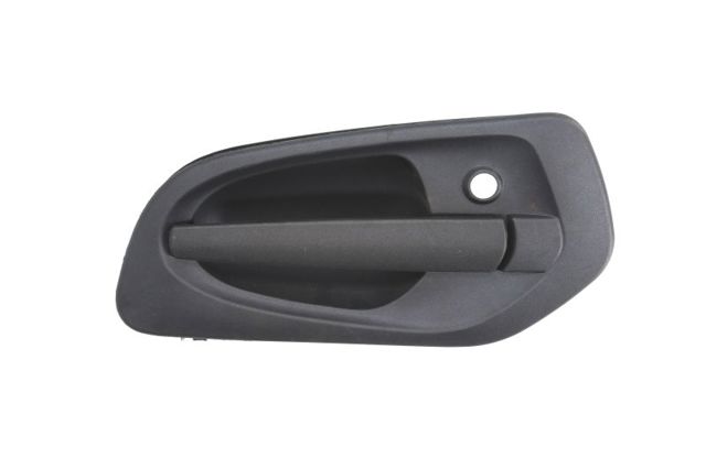 Ручка передніх дверей зовнішня, ліва TD1950124L TANGDE