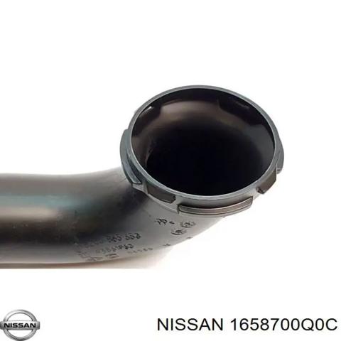 Патрубок повітряний, вхід повітряного фільтра 1658700Q0C NISSAN