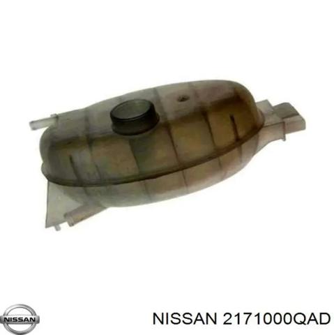 Бачок для води Nissan Primastar