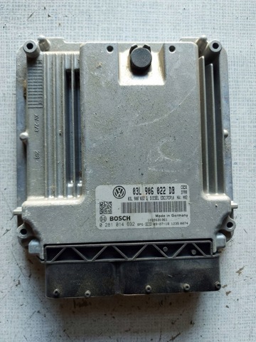 Мізки двигуна 03L906022DB VAG