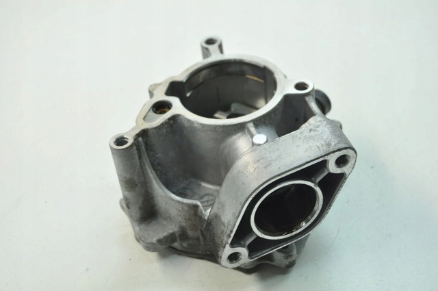 Насос вакуумний 06L145100F VAG