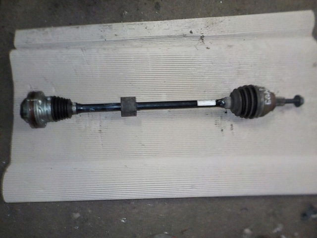 5QN407272C VAG