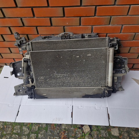 Двері задні в зборі 821000294R RENAULT