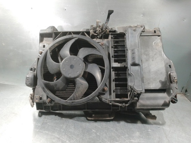 9646474680 Peugeot/Citroen