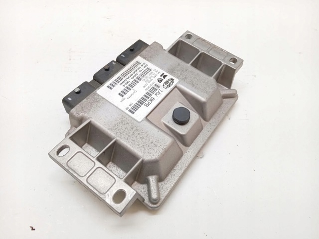 9665964980 Peugeot/Citroen