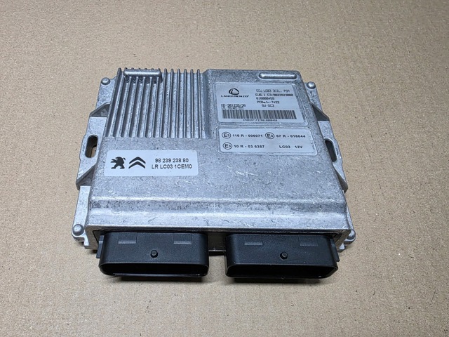9823923880 Peugeot/Citroen