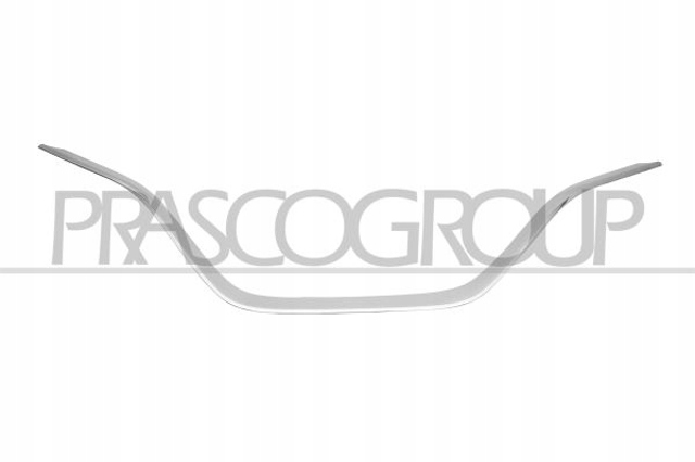 Молдинг решітки радіатора, нижній RN7502305 PRASCO