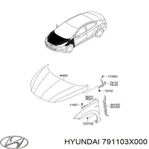 Завіс капота, лівий 791103X000 HYUNDAI