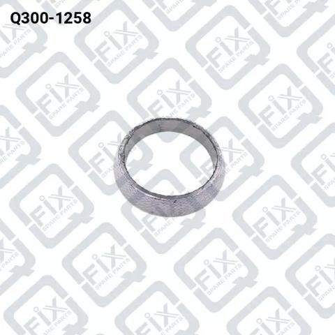Кільце приймальної труби глушника Q3001258 Q-FIX