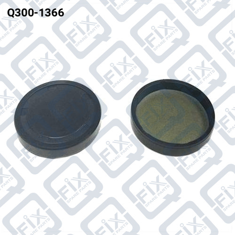 Заглушка ГБЦ Q3001366 Q-FIX