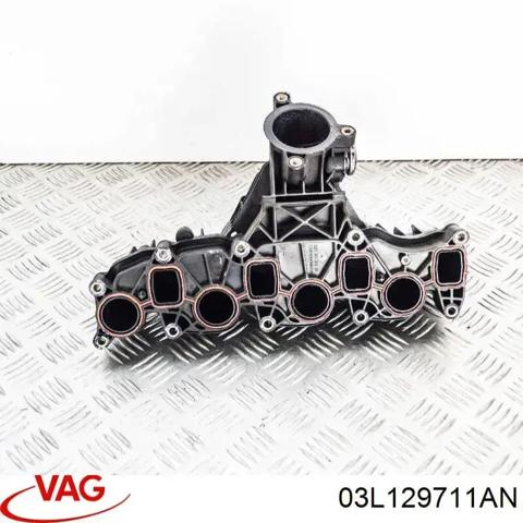 Колектор впускний 03L129711AN VAG