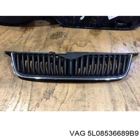 Решітка 5L08536689B9 VAG