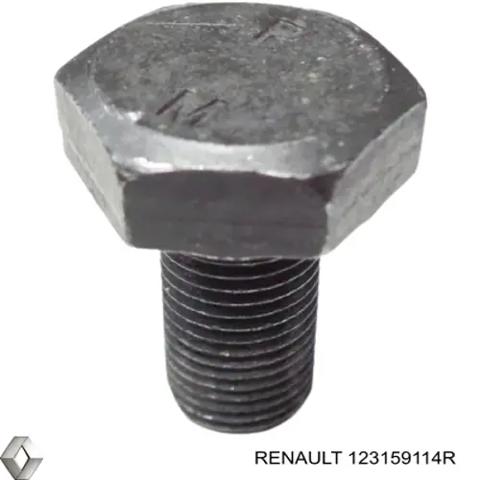 Болт кріплення маховика 123159114R RENAULT